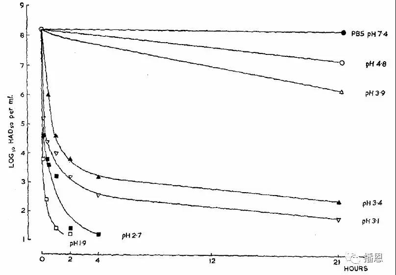 FUN88��������(�й���)�ٷ���վ
