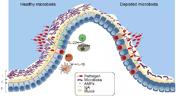 FUN88��������(�й���)�ٷ���վ