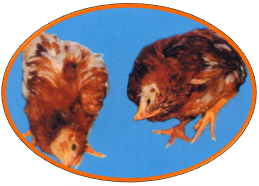 FUN88��������(�й���)�ٷ���վ