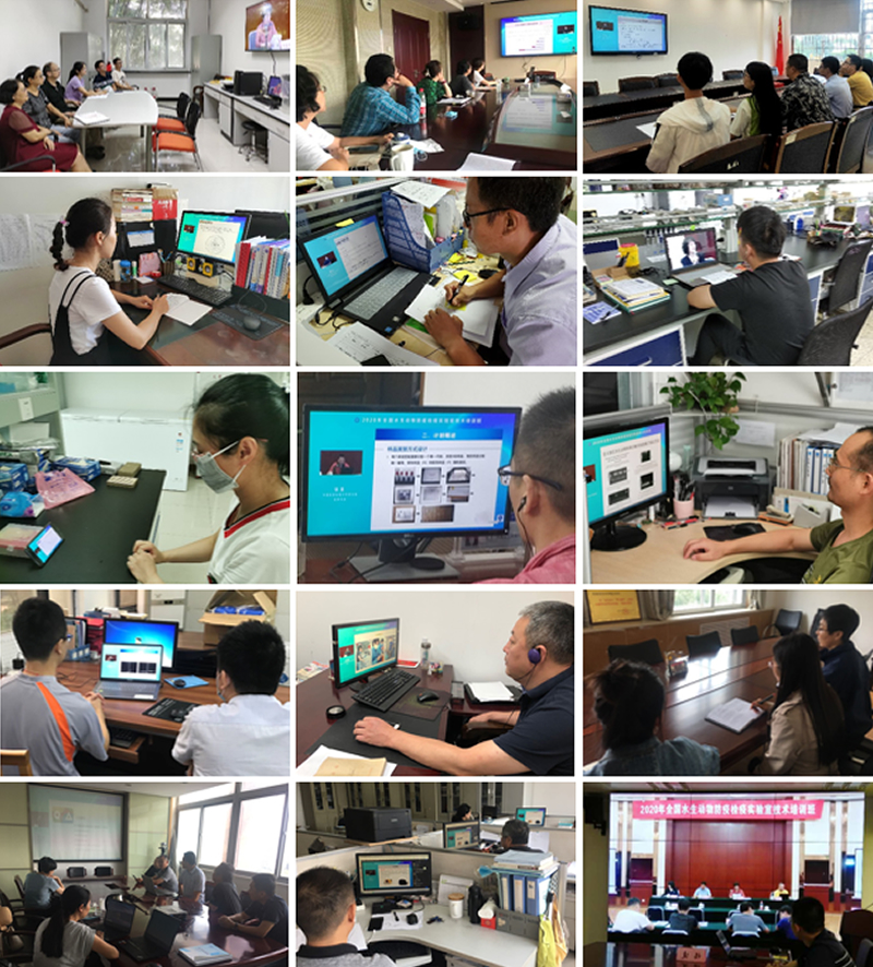 FUN88��������(�й���)�ٷ���վ