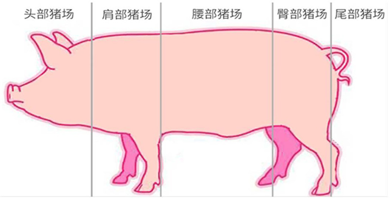 FUN88��������(�й���)�ٷ���վ