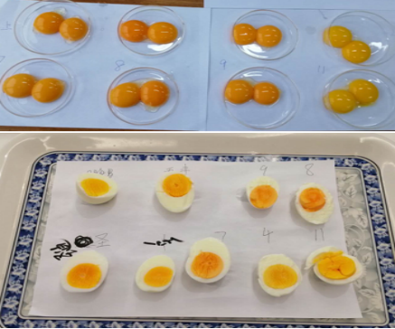 FUN88��������(�й���)�ٷ���վ