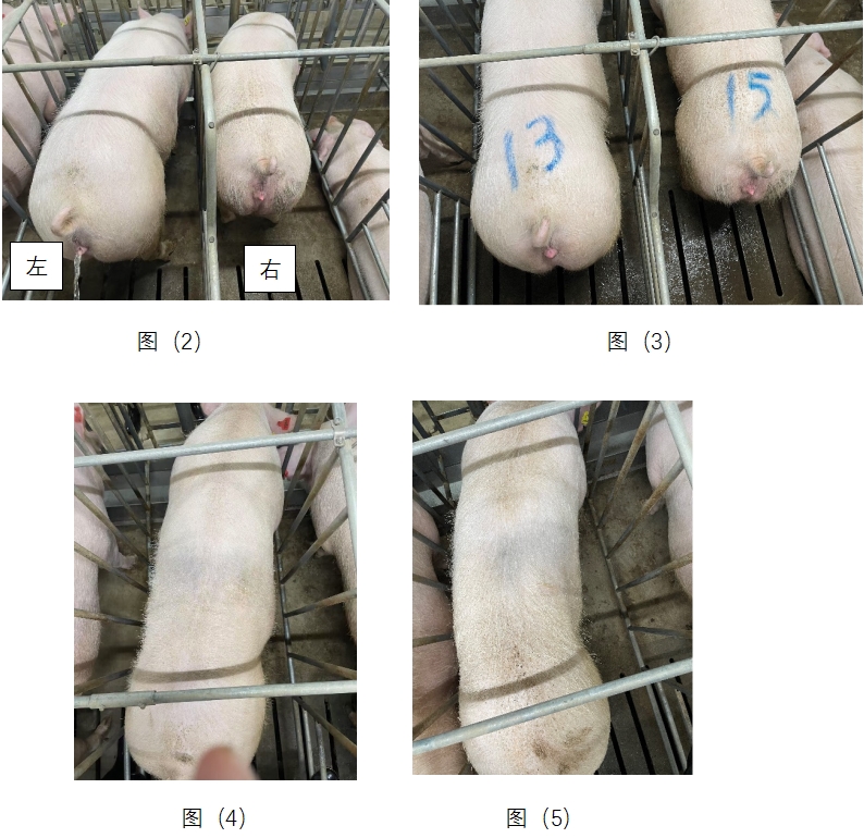 FUN88¡¤ÀÖÌìÌÃ(ÖйúÓÎ)¹Ù·½ÍøÕ¾